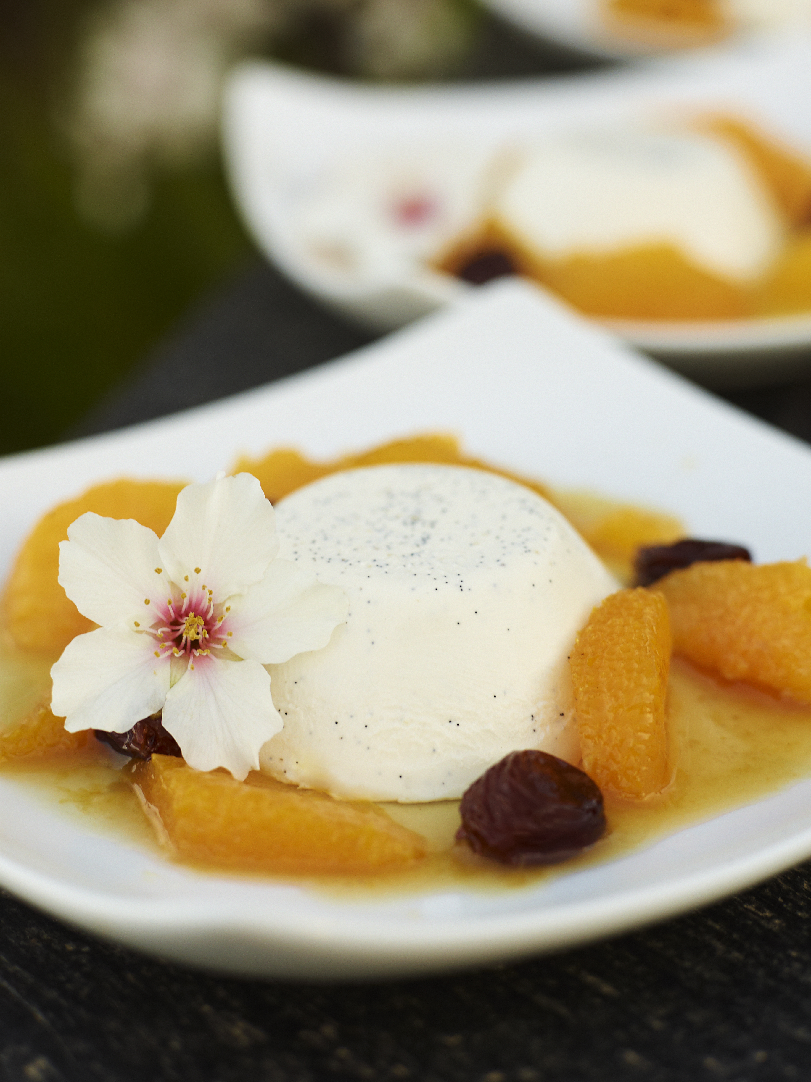 almond pannacotta-CF011788