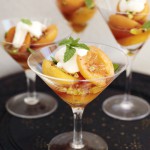 apricots in rum and honey syrup-CF079429