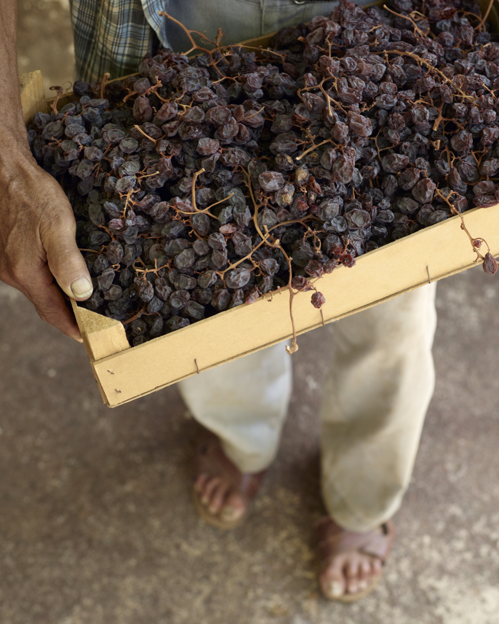 uva passa and passito cake under the almond tree passa 2013